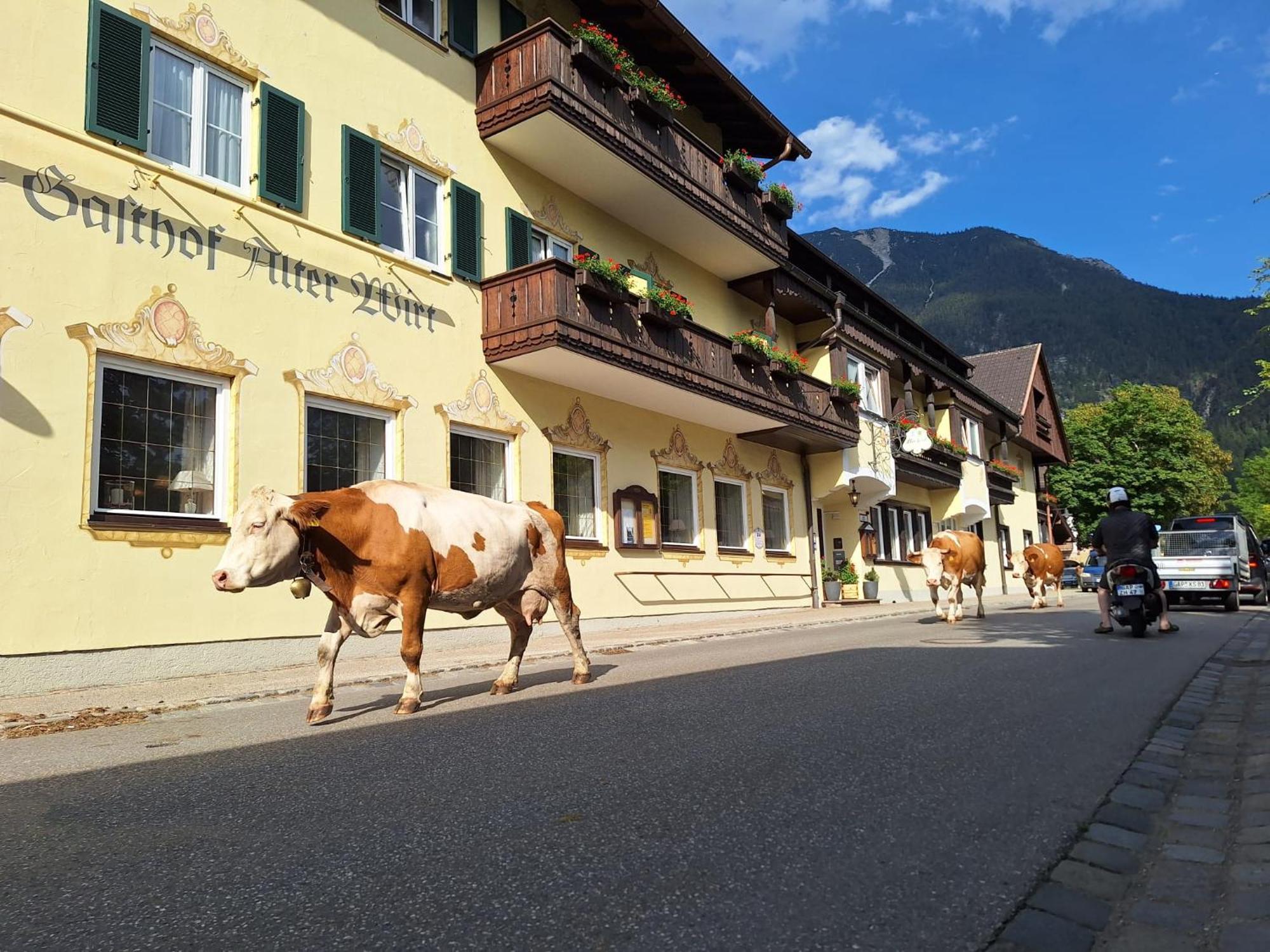 Hotel Gasthof Alter Wirt ฟาร์ชอนท์ ภายนอก รูปภาพ