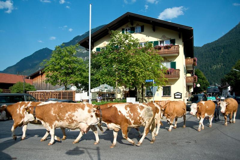 Hotel Gasthof Alter Wirt ฟาร์ชอนท์ ภายนอก รูปภาพ